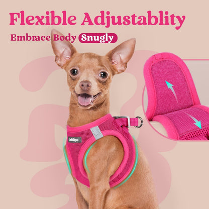 BunnyStep: Reflective Mesh Harness for Small Dogs