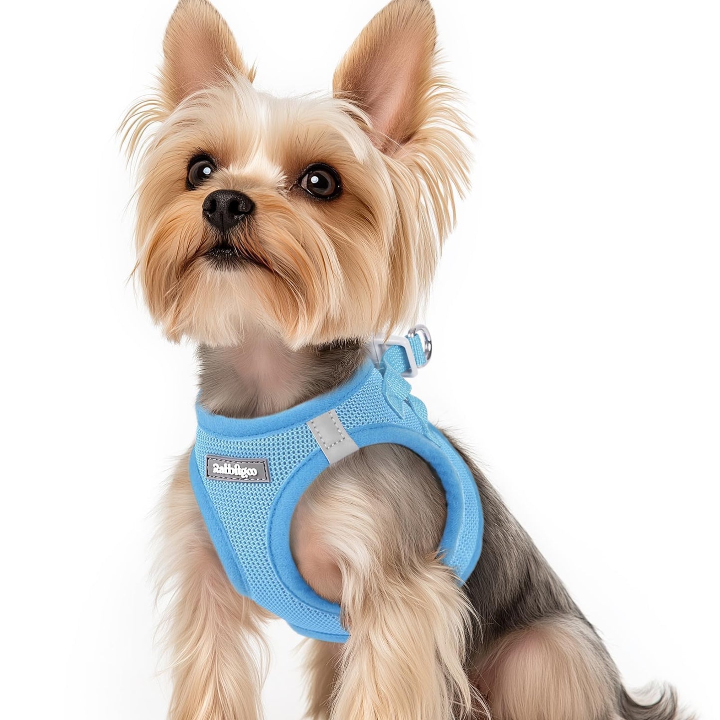 BunnyStep: Reflective Mesh Harness for Small Dogs