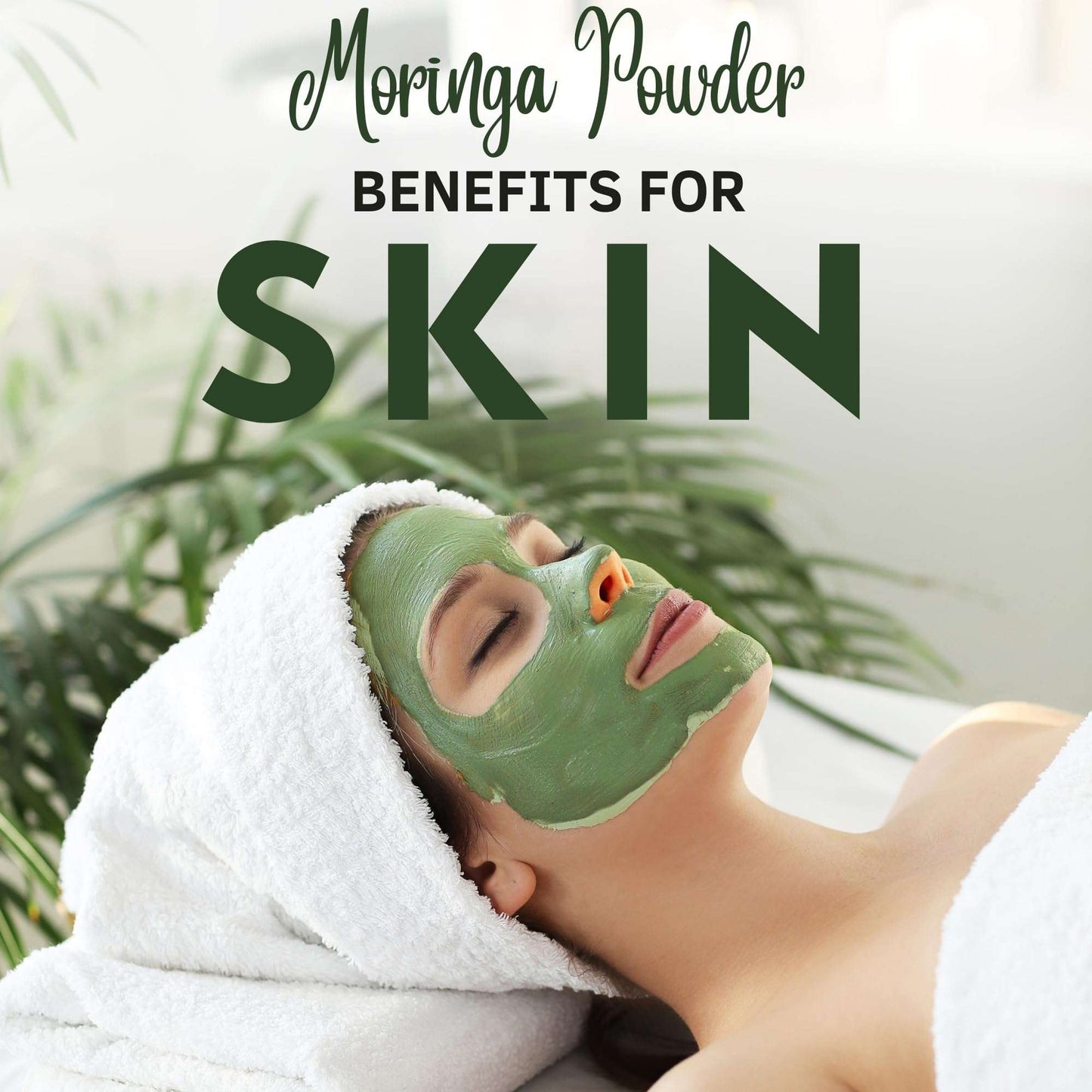 Pure Moringa Magic: Organic Leaf Powder 1 lb