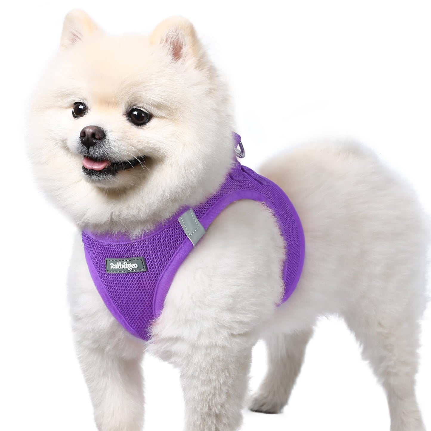 BunnyStep: Reflective Mesh Harness for Small Dogs