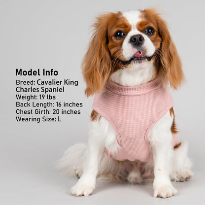 PlaidPup Waffle Vest: Soft, Stretchy, & Cute!