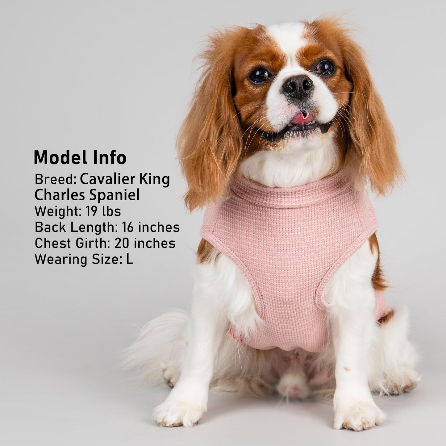 PlaidPup Waffle Vest: Soft, Stretchy, & Cute!