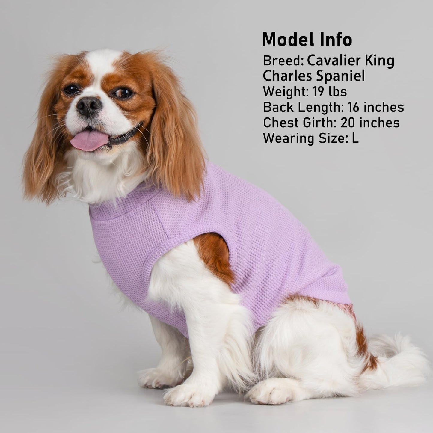 PlaidPup Waffle Vest: Soft, Stretchy, & Cute!