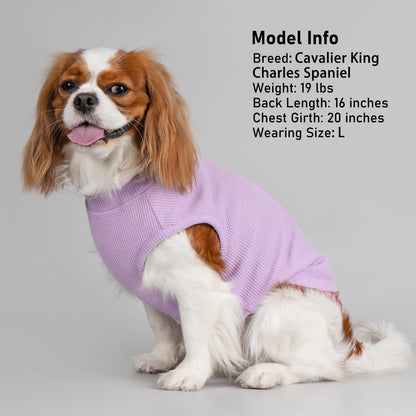 PlaidPup Waffle Vest: Soft, Stretchy, & Cute!