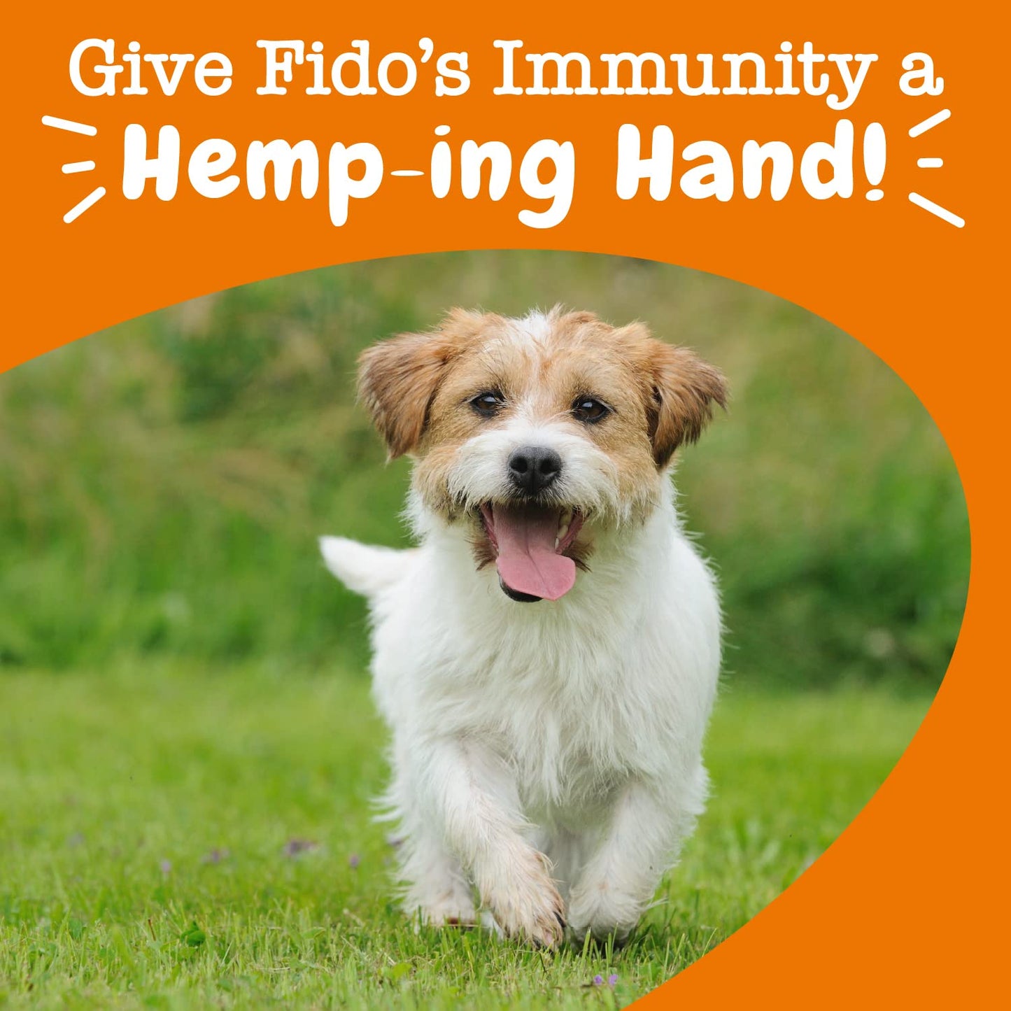 Zesty Paws Itch & Allergy Relief Chews - Lamb 90ct