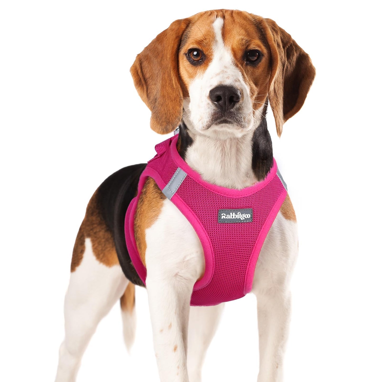 BunnyStep: Reflective Mesh Harness for Small Dogs