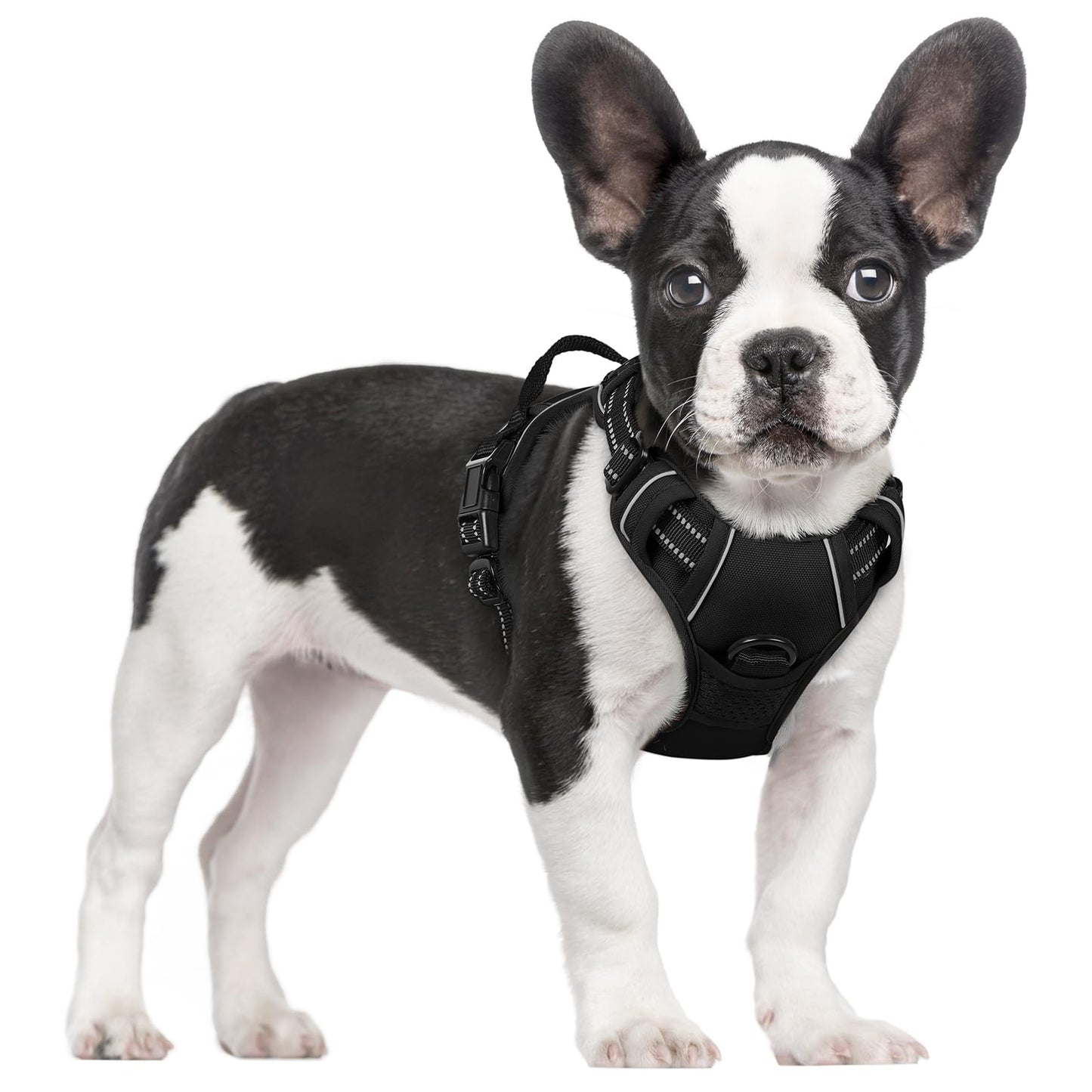 PawGuard No-Pull Reflective Dog Harness - Large Black