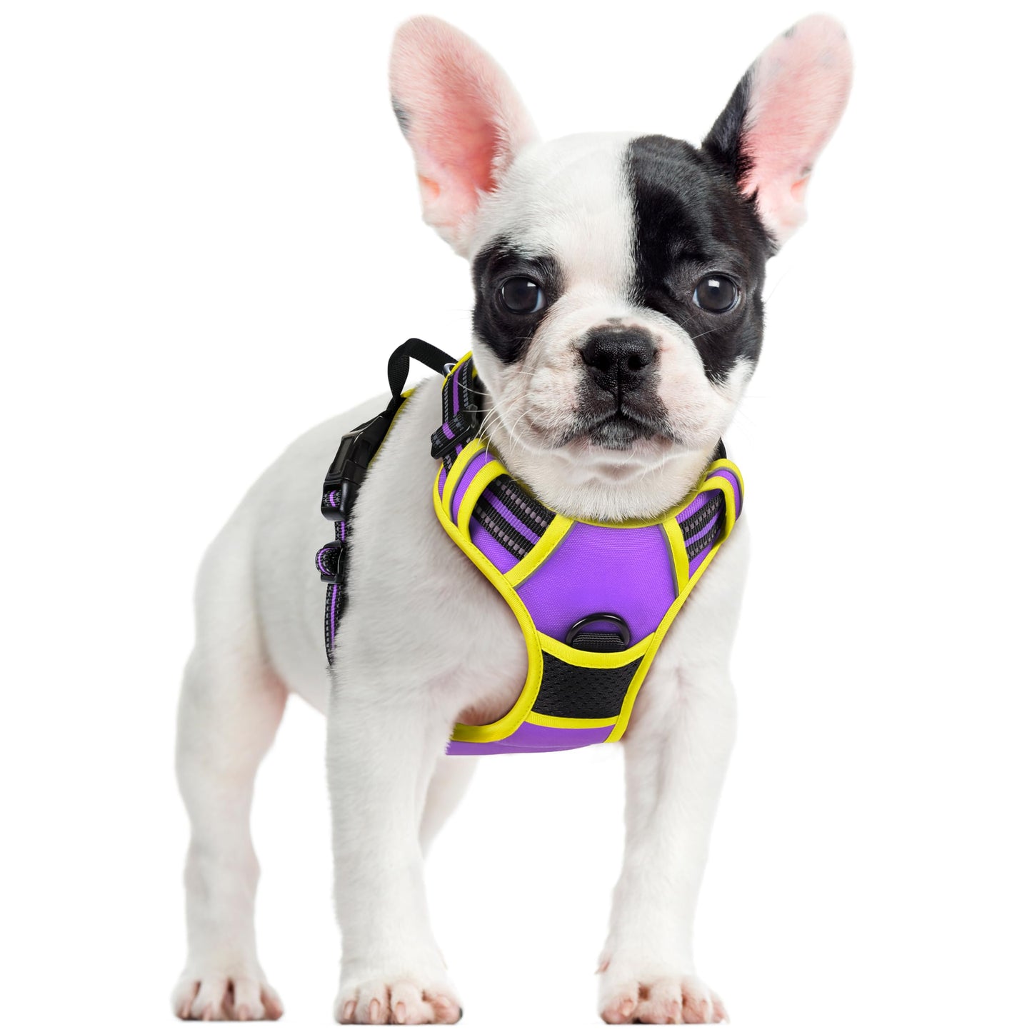PawGuard No-Pull Reflective Dog Harness - Large Black