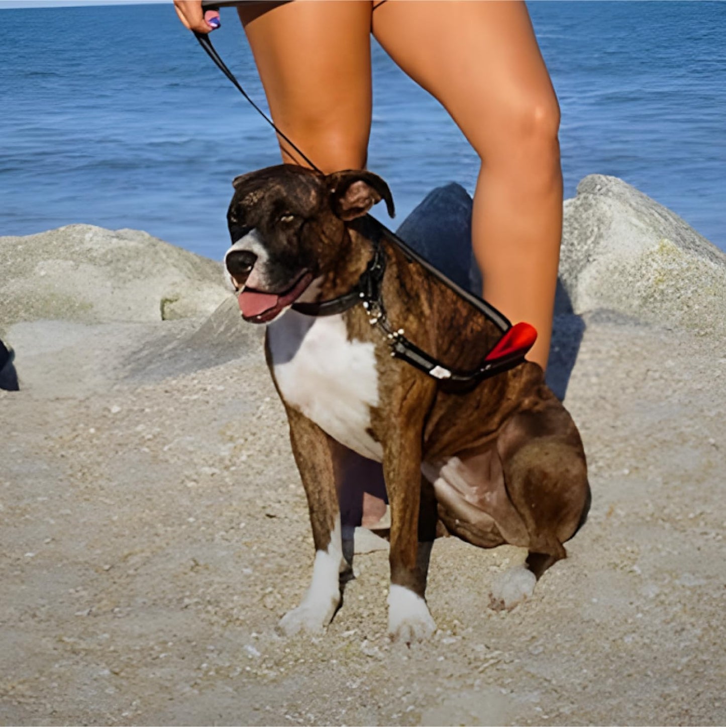 RhinoGrip Aqua: Double Handle Reflective Dog Leash