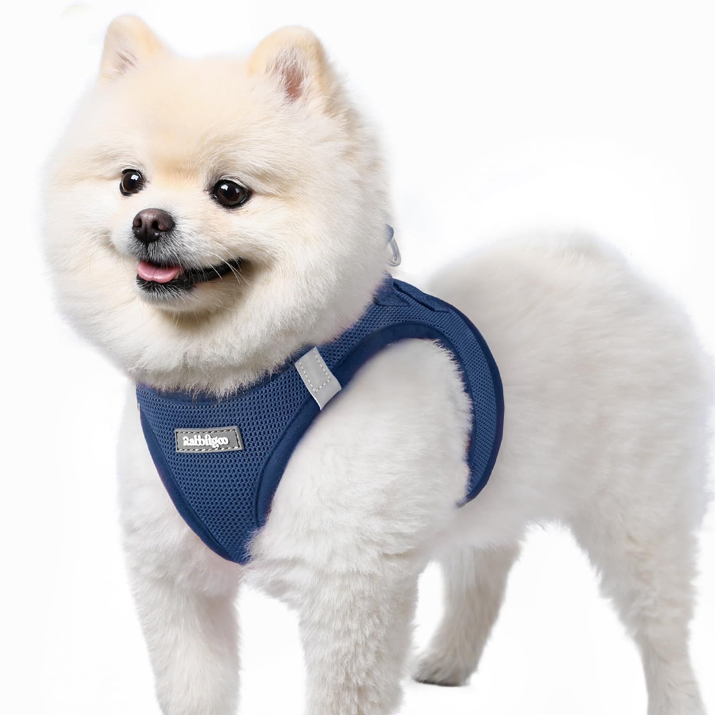 BunnyStep: Reflective Mesh Harness for Small Dogs