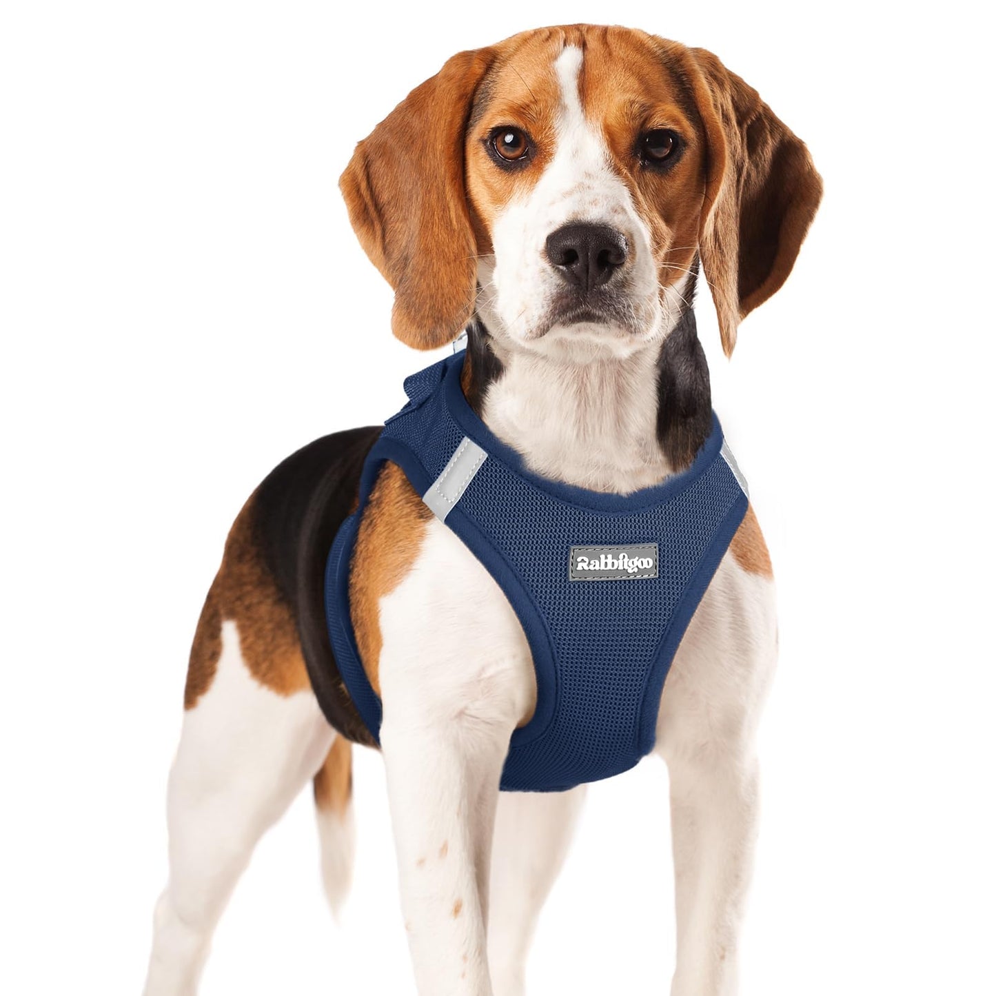 BunnyStep: Reflective Mesh Harness for Small Dogs