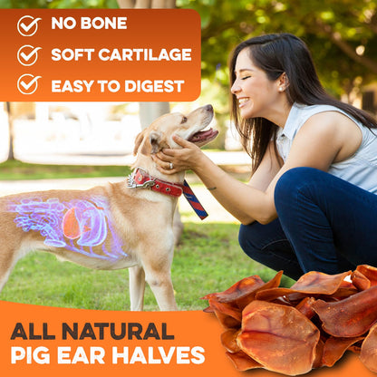 PawSavor Pig Ears: Natural, Tasty Chews for Dogs