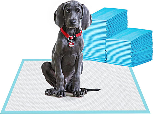 PawGuard Ultra: 80 Super Absorbent Puppy Pads
