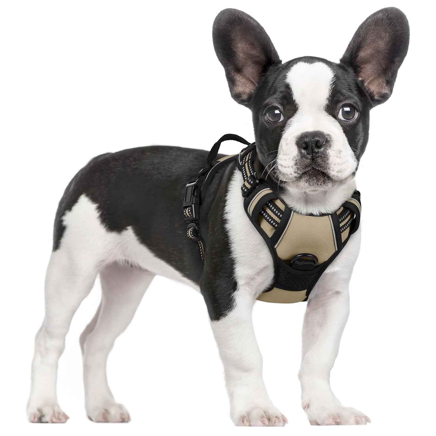 PawGuard No-Pull Reflective Dog Harness - Large Black