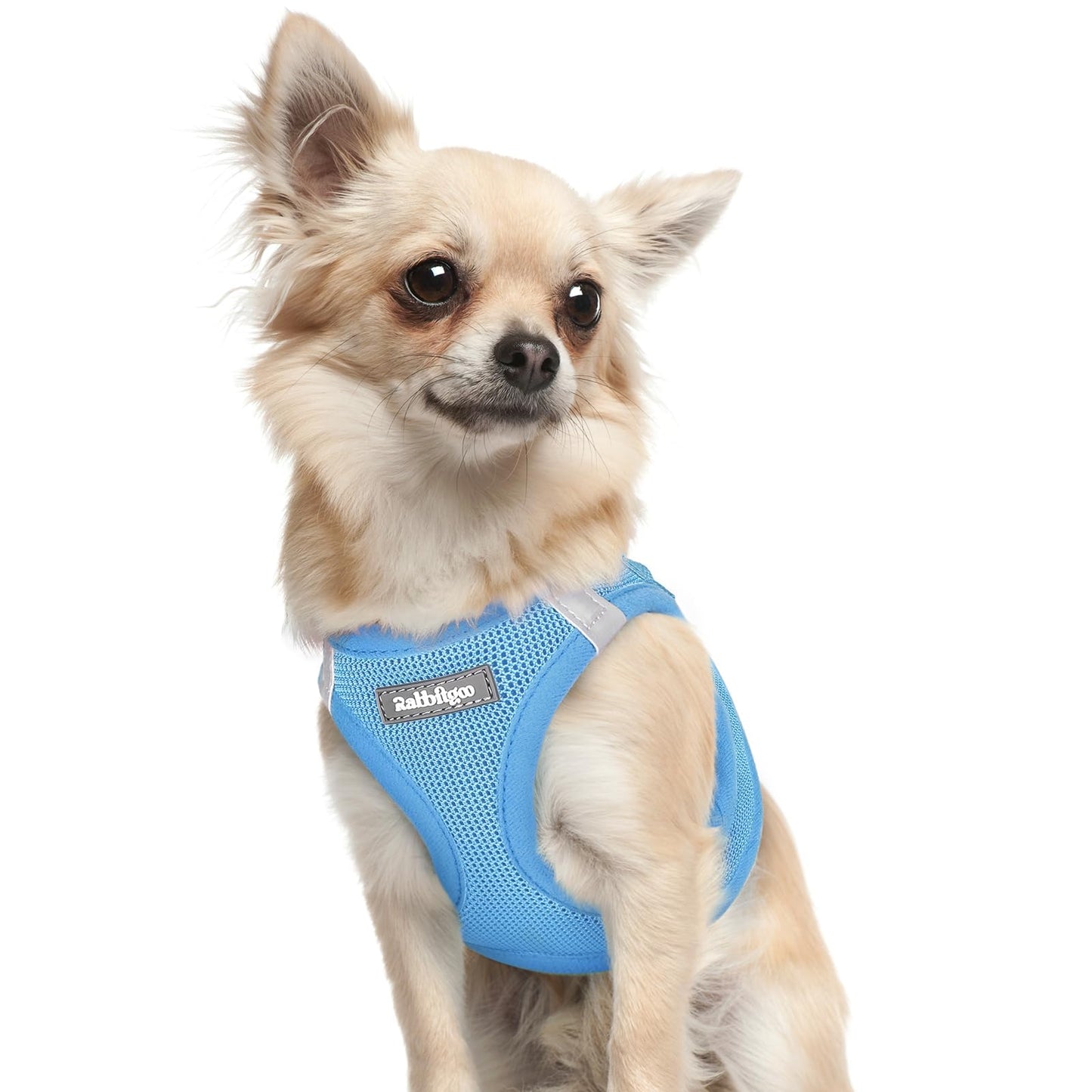 BunnyStep: Reflective Mesh Harness for Small Dogs