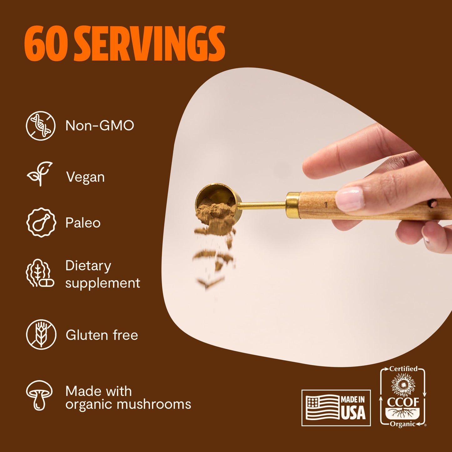 MushroomMind: Ultimate Nootropic Focus Formula