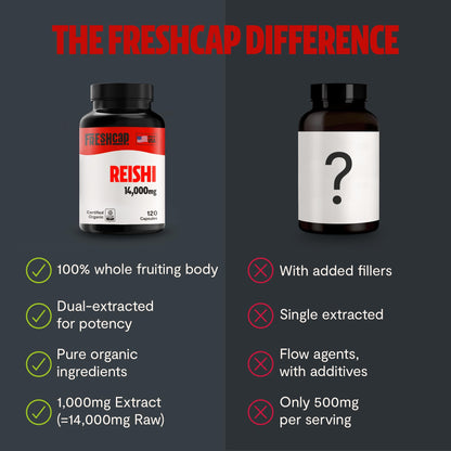 MushroomMind: Ultimate Nootropic Focus Formula