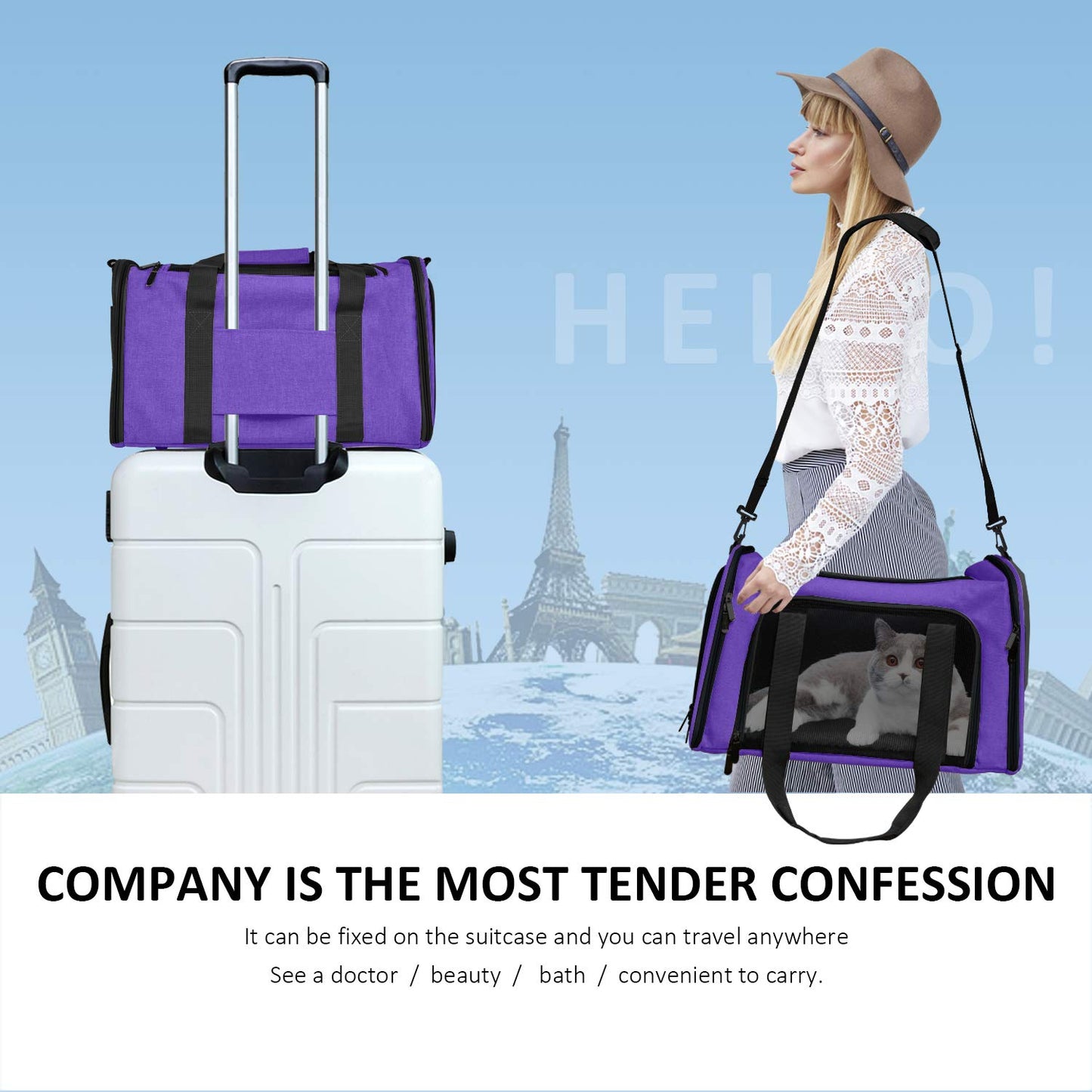 PawsVoyage: Grey TSA-Approved Pet Carrier (15lbs Max)