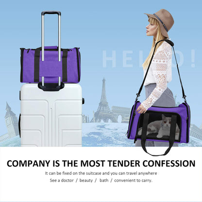 PawsVoyage: Grey TSA-Approved Pet Carrier (15lbs Max)