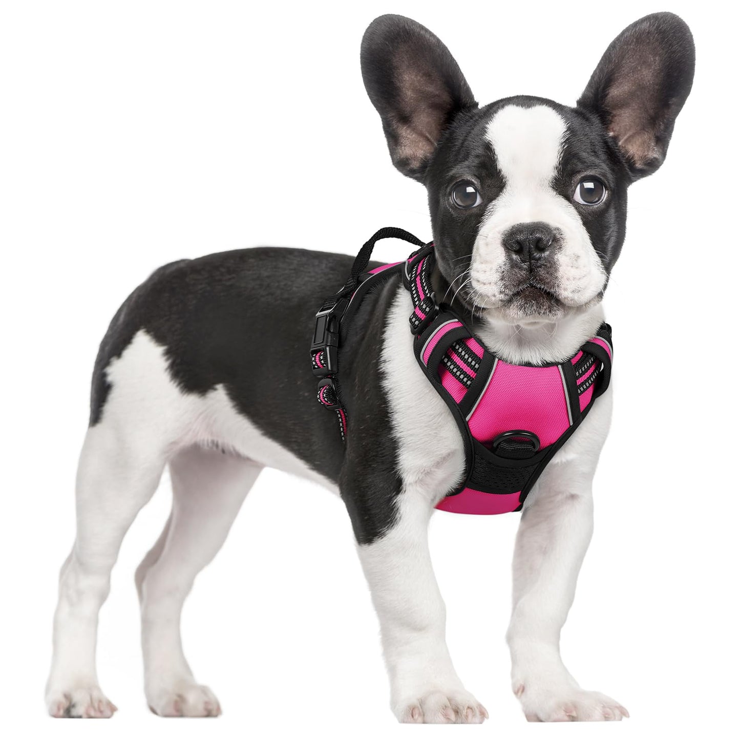 PawGuard No-Pull Reflective Dog Harness - Large Black