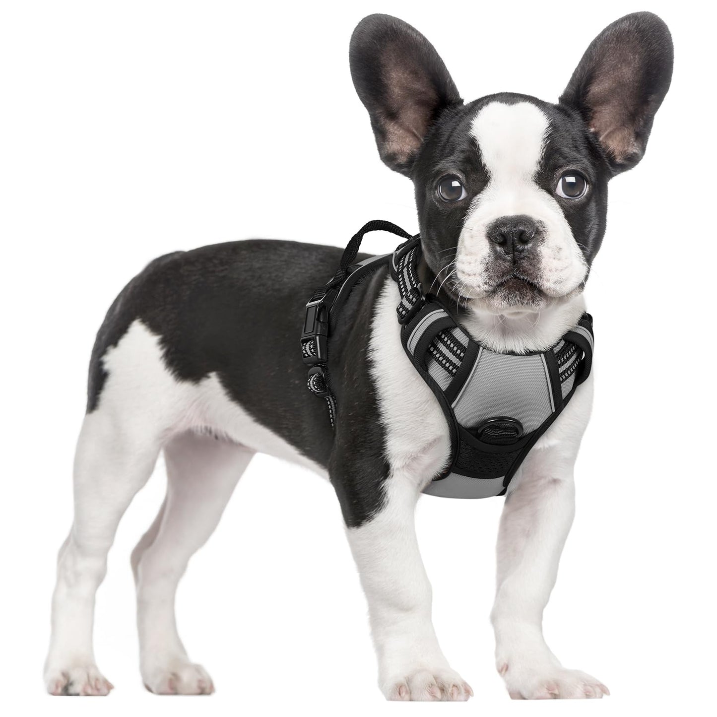 PawGuard No-Pull Reflective Dog Harness - Large Black
