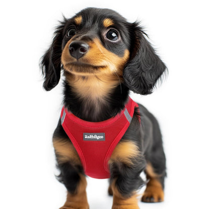 BunnyStep: Reflective Mesh Harness for Small Dogs