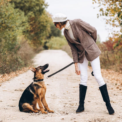 RhinoGrip Aqua: Double Handle Reflective Dog Leash