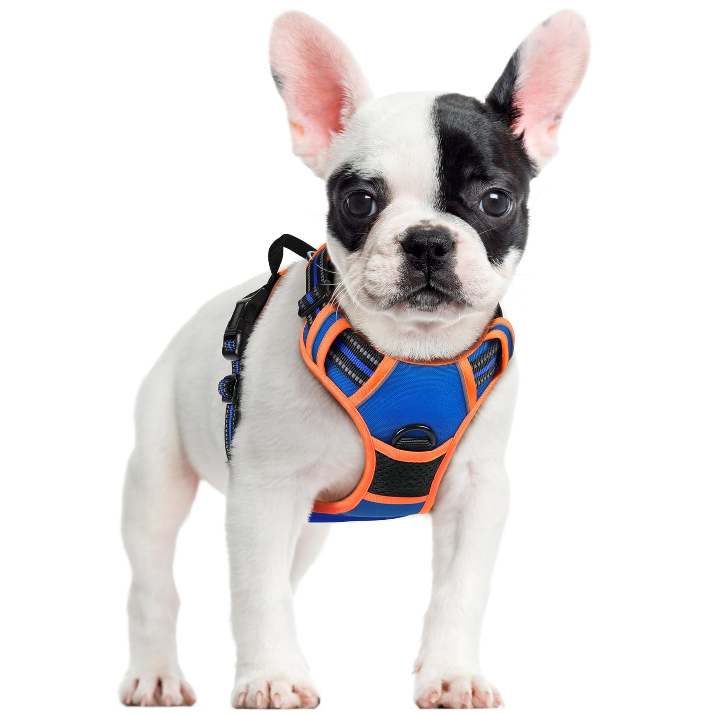 PawGuard No-Pull Reflective Dog Harness - Large Black