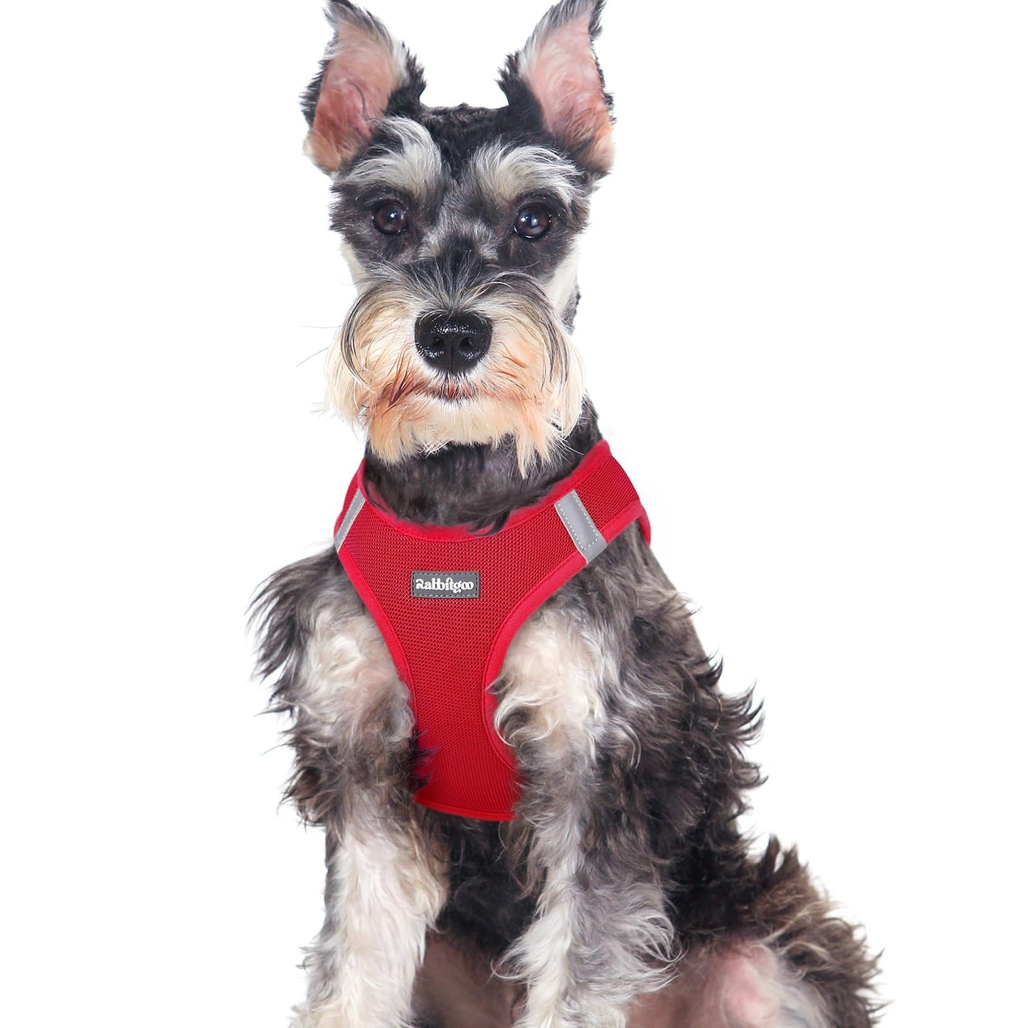BunnyStep: Reflective Mesh Harness for Small Dogs