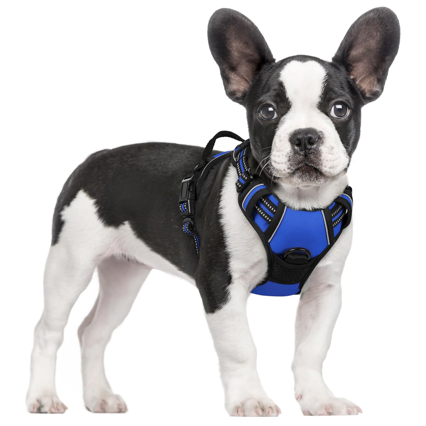 PawGuard No-Pull Reflective Dog Harness - Large Black