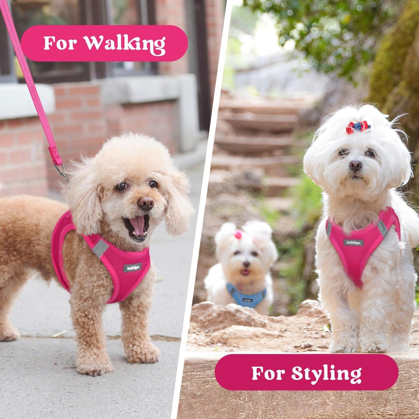 BunnyStep: Reflective Mesh Harness for Small Dogs