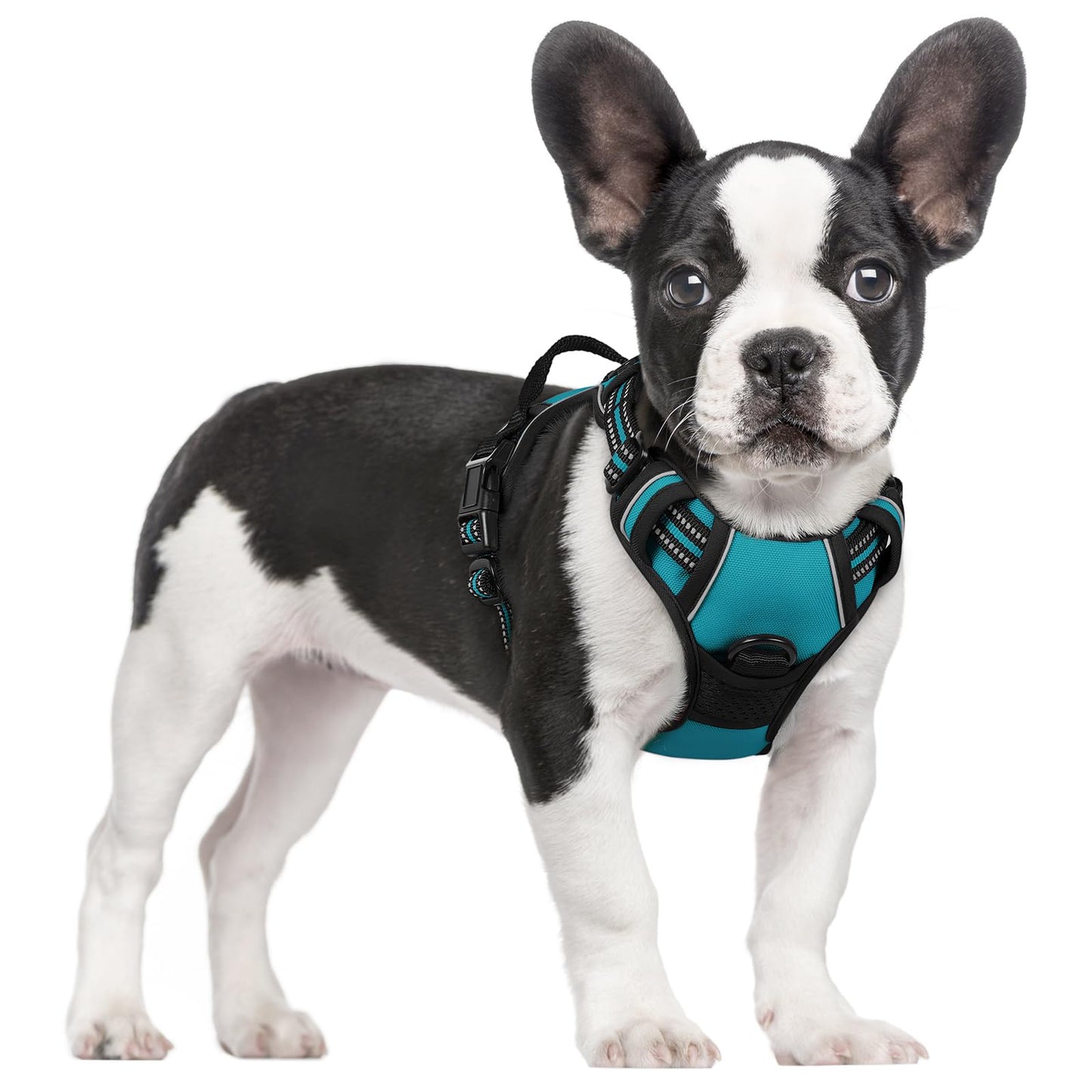 PawGuard No-Pull Reflective Dog Harness - Large Black