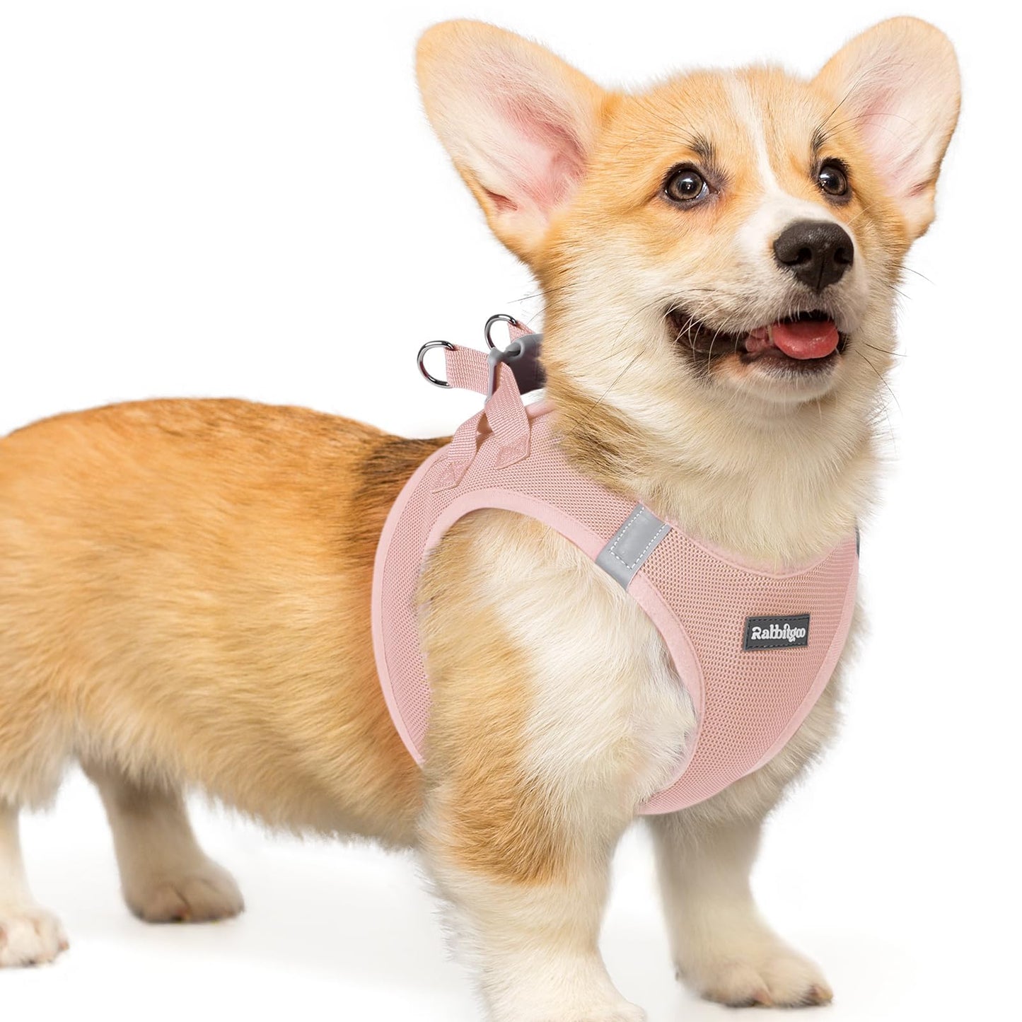 BunnyStep: Reflective Mesh Harness for Small Dogs