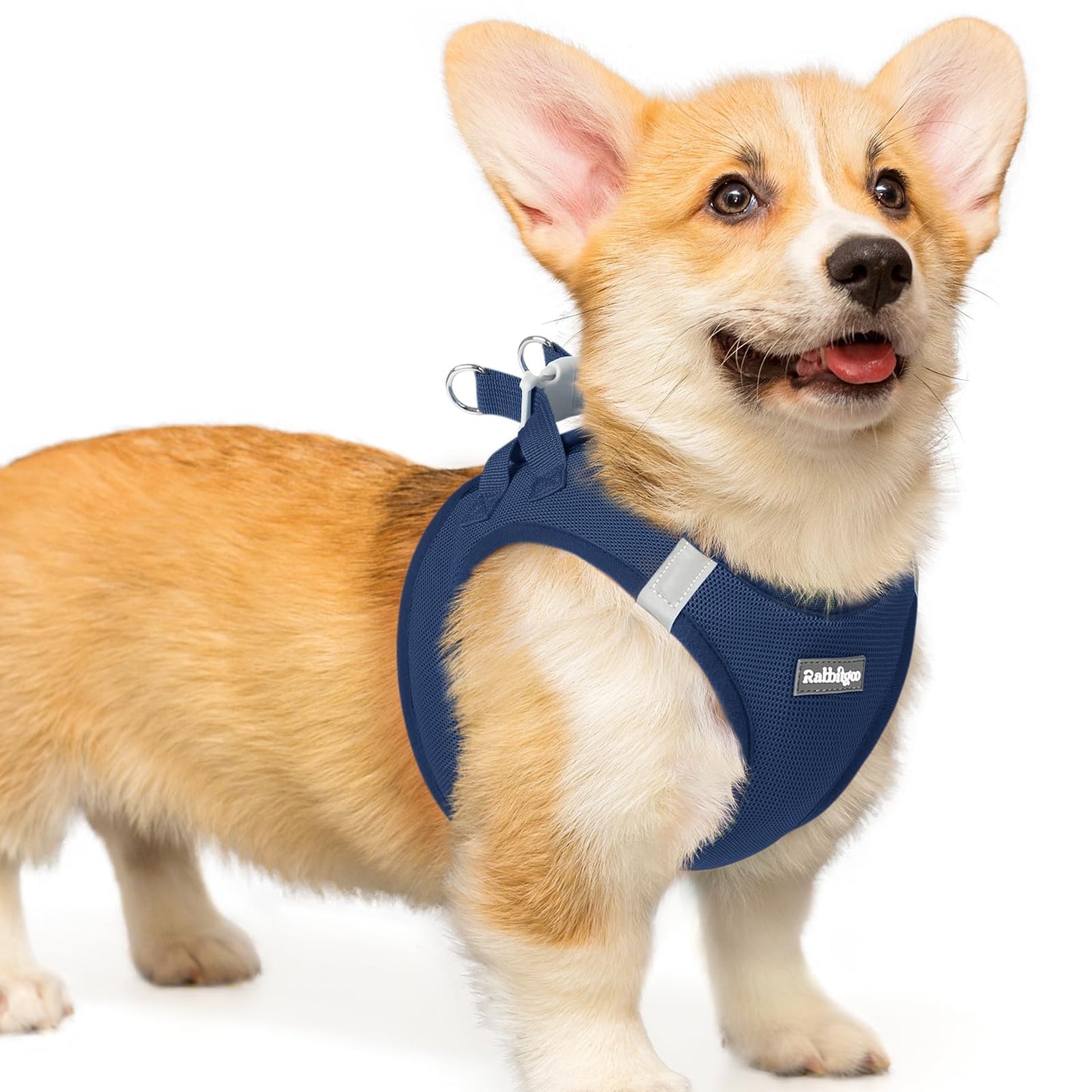 BunnyStep: Reflective Mesh Harness for Small Dogs