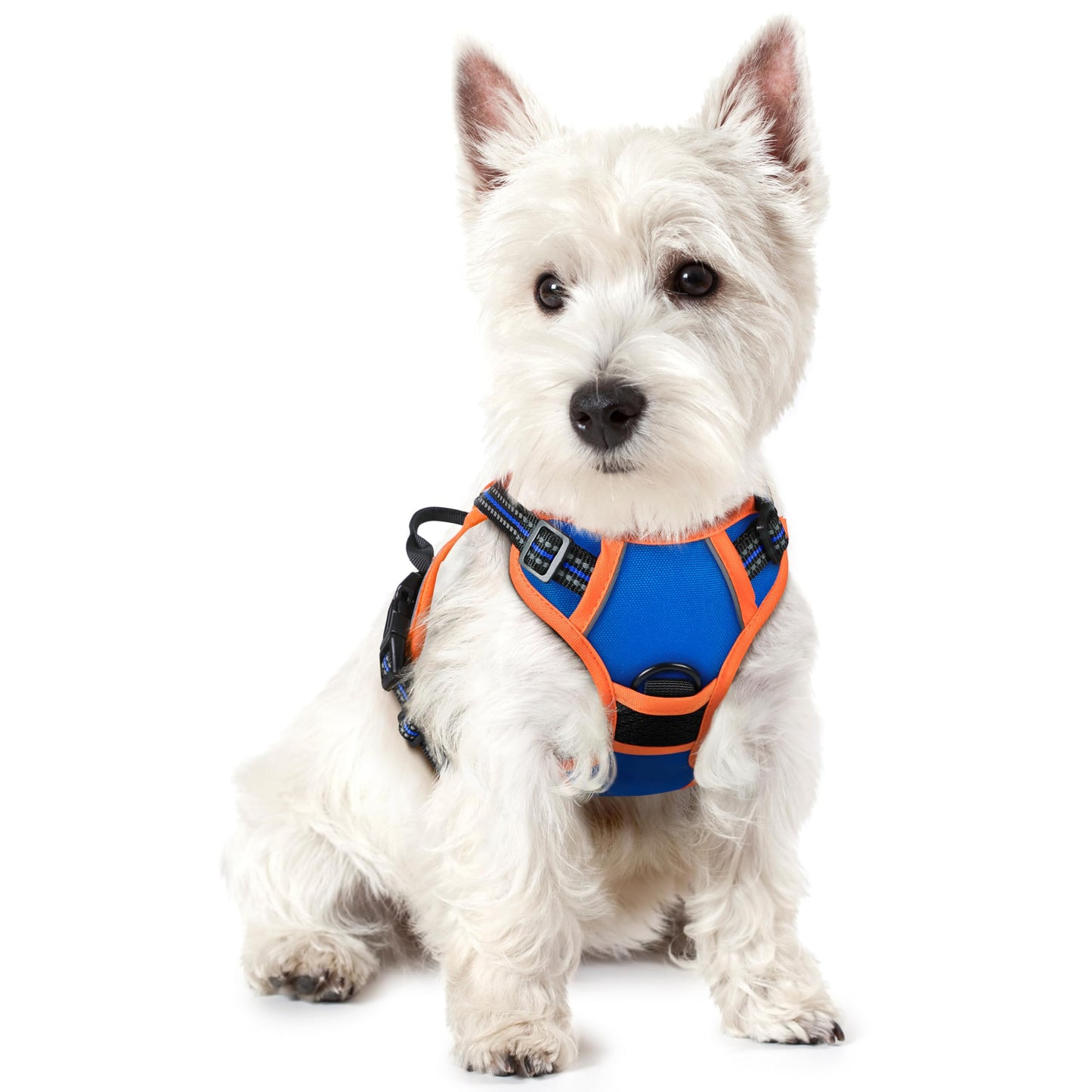 PawGuard No-Pull Reflective Dog Harness - Large Black