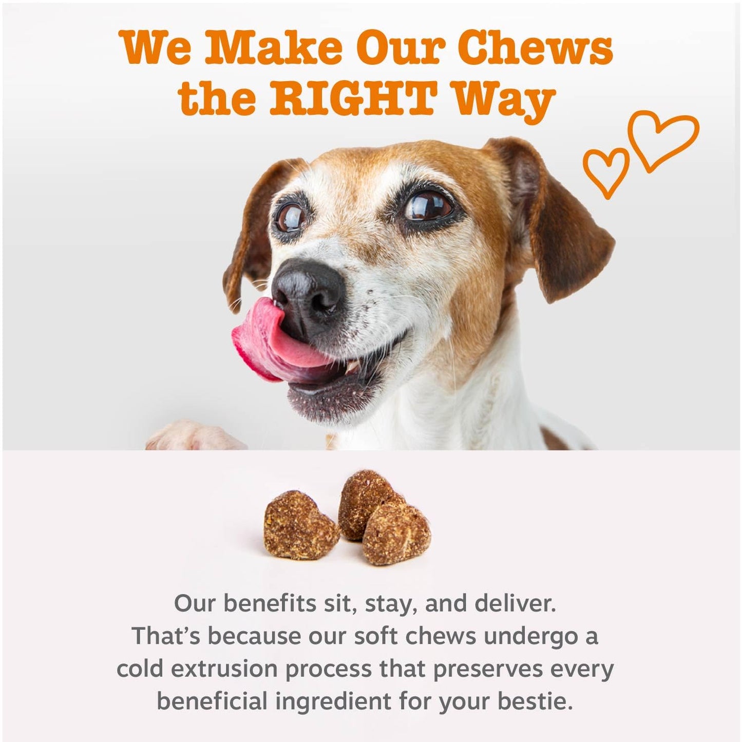 Zesty Paws Itch & Allergy Relief Chews - Lamb 90ct
