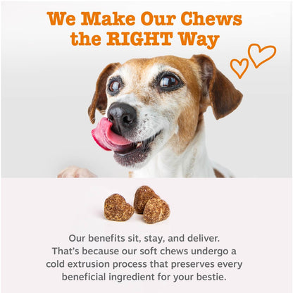 Zesty Paws Itch & Allergy Relief Chews - Lamb 90ct