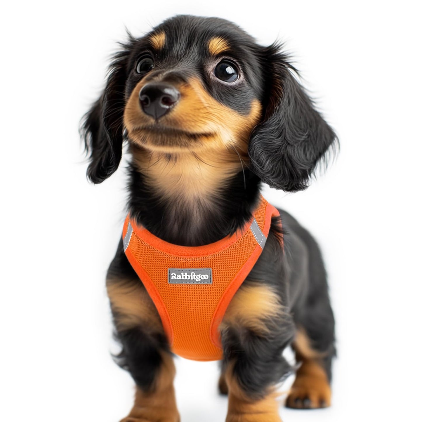 BunnyStep: Reflective Mesh Harness for Small Dogs