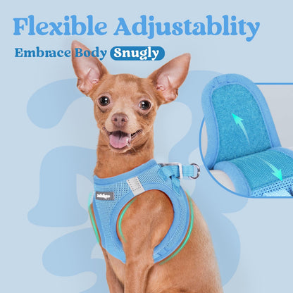 BunnyStep: Reflective Mesh Harness for Small Dogs