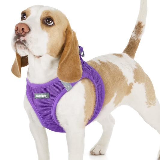 BunnyStep: Reflective Mesh Harness for Small Dogs
