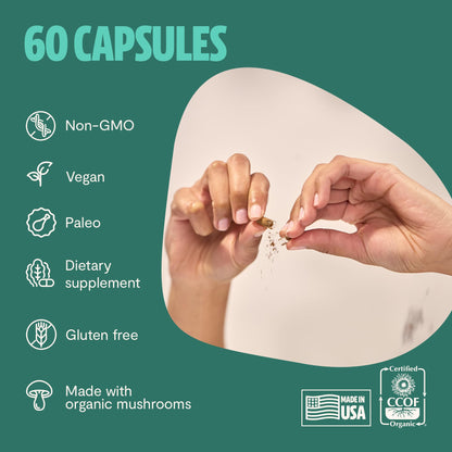 MushroomMind: Ultimate Nootropic Focus Formula