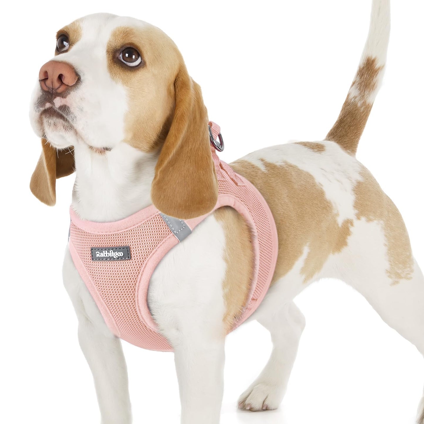 BunnyStep: Reflective Mesh Harness for Small Dogs