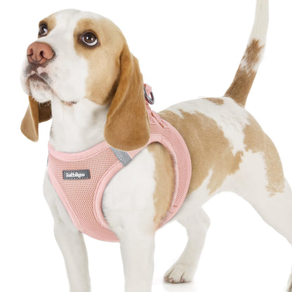 BunnyStep: Reflective Mesh Harness for Small Dogs