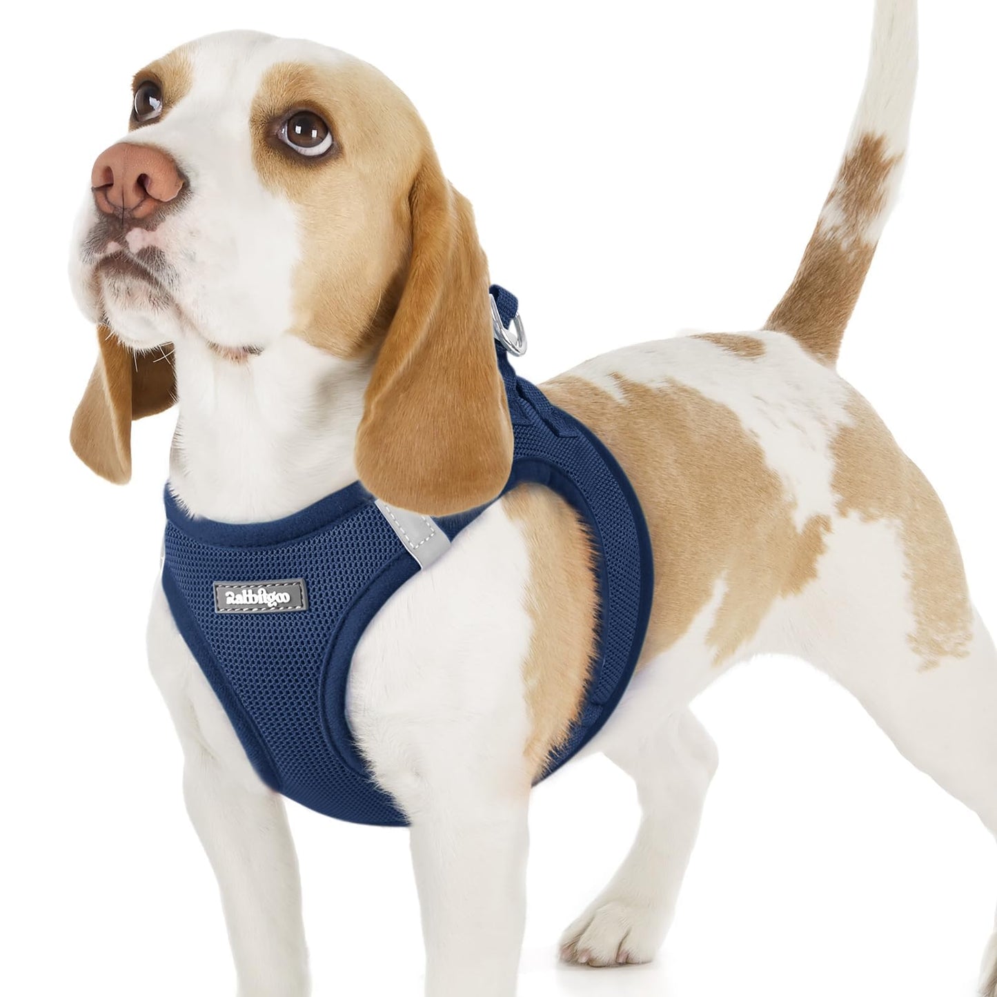 BunnyStep: Reflective Mesh Harness for Small Dogs