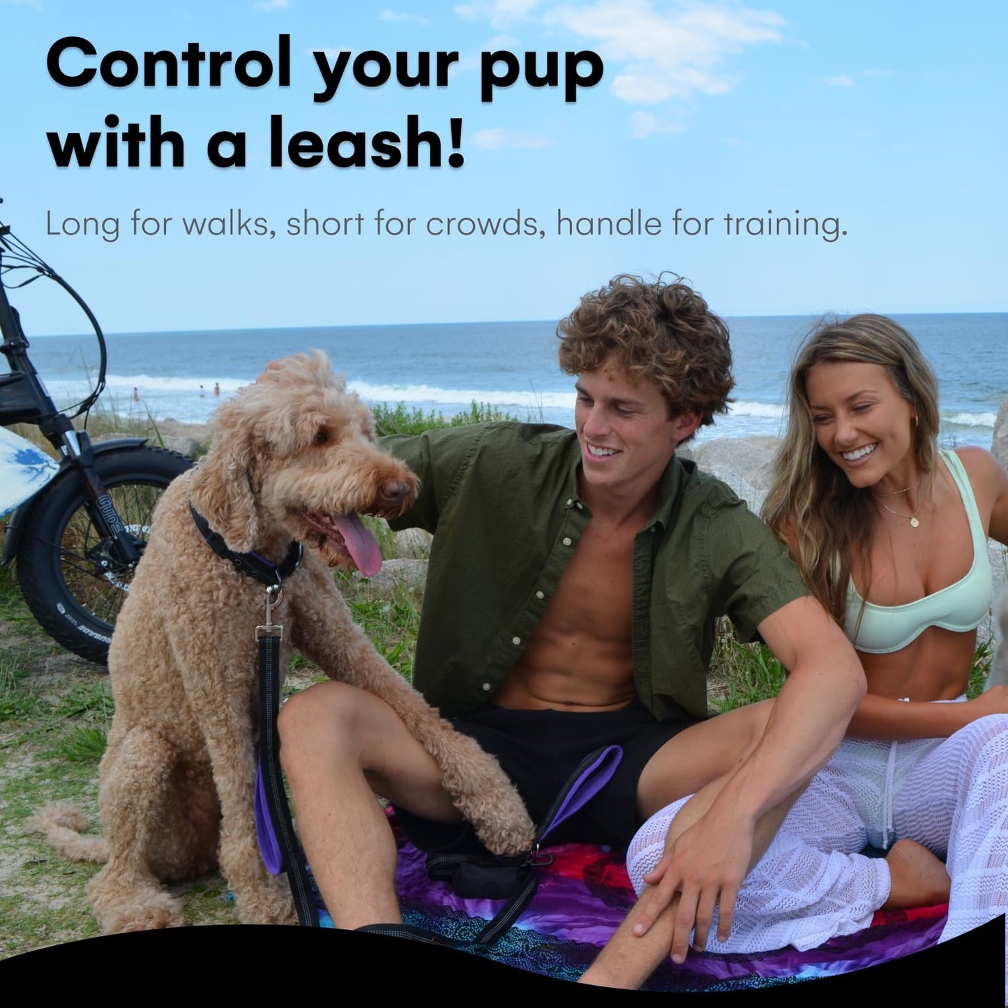 RhinoGrip Aqua: Double Handle Reflective Dog Leash