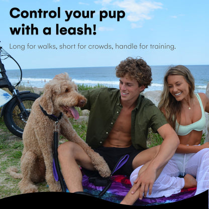 RhinoGrip Aqua: Double Handle Reflective Dog Leash