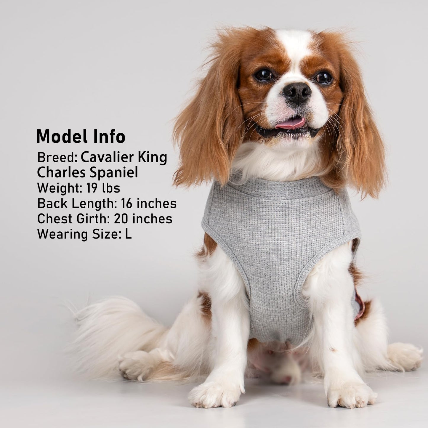 PlaidPup Waffle Vest: Soft, Stretchy, & Cute!