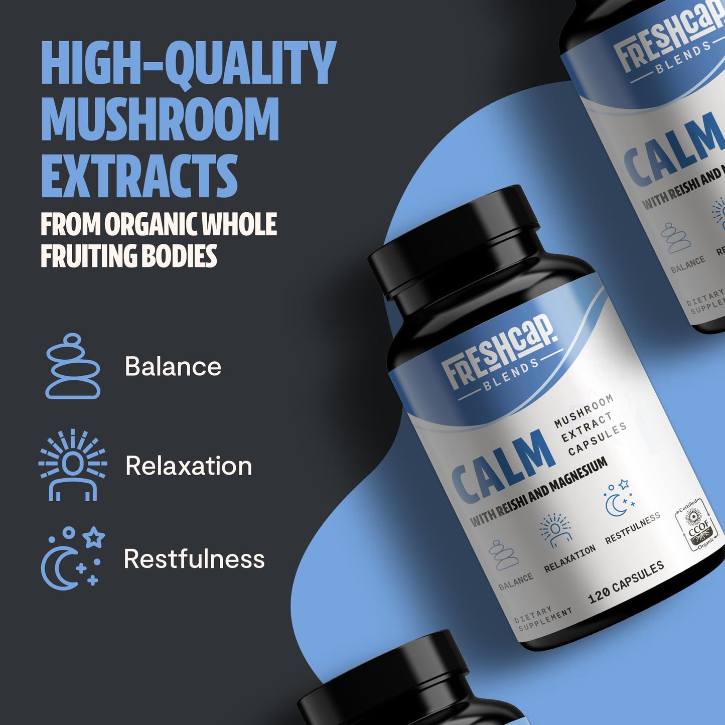 MushroomMind: Ultimate Nootropic Focus Formula