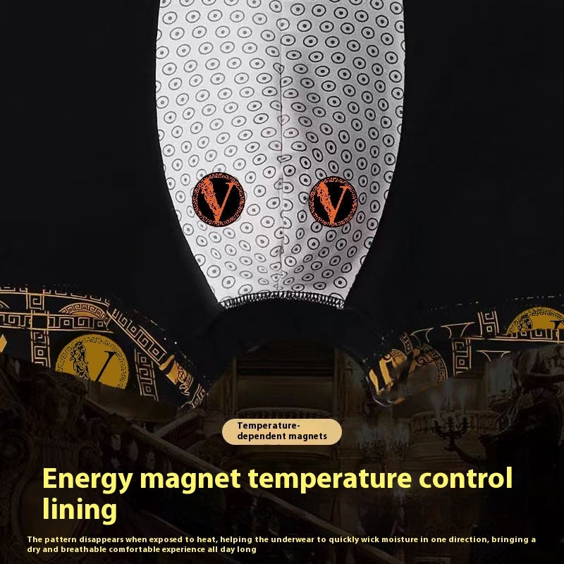 Magnetique Luxe Men's Summer Boxers