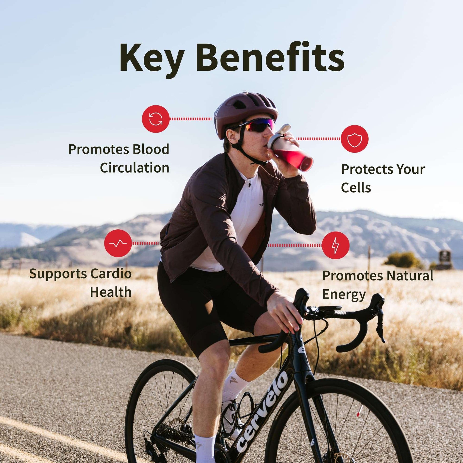 BerryBoost Nitric Oxide